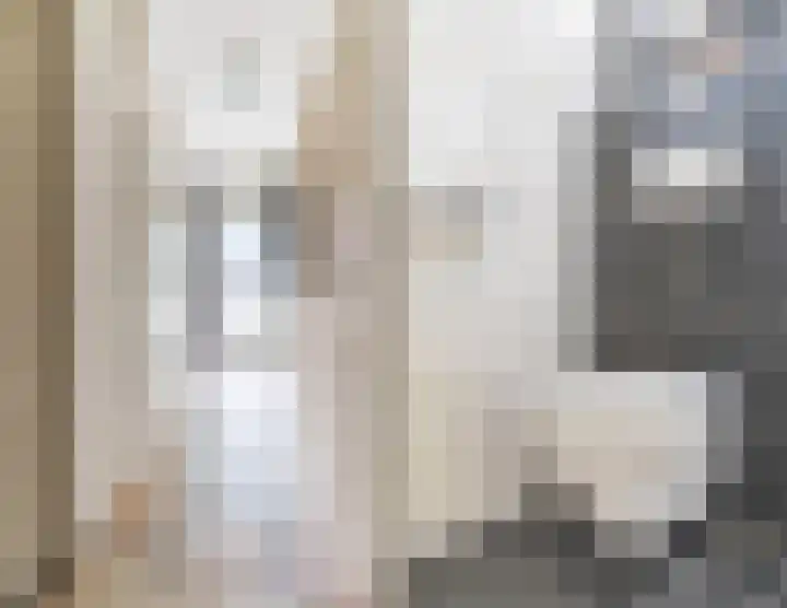 Kleine Kept 30 Bergeijk thumbnail 4