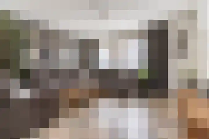 Kleine Kept 30 Bergeijk thumbnail 5