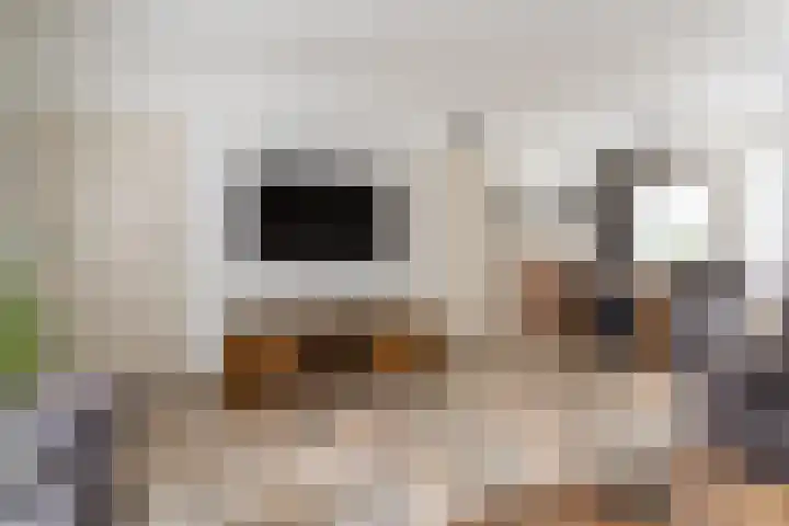 Kleine Kept 30 Bergeijk thumbnail 6