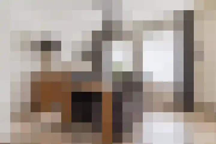 Kleine Kept 30 Bergeijk thumbnail 8