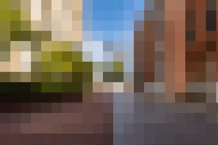 Kleine Kerkstraat 17 Vlissingen thumbnail 37