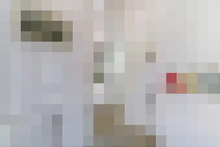 Kleine Kerkstraat 17 Vlissingen thumbnail 6