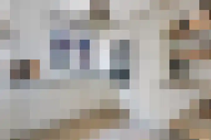Kleine Kerkstraat 17 Vlissingen thumbnail 8
