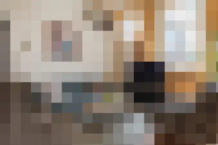 Kleine Kerkstraat 18 Edam thumbnail 15