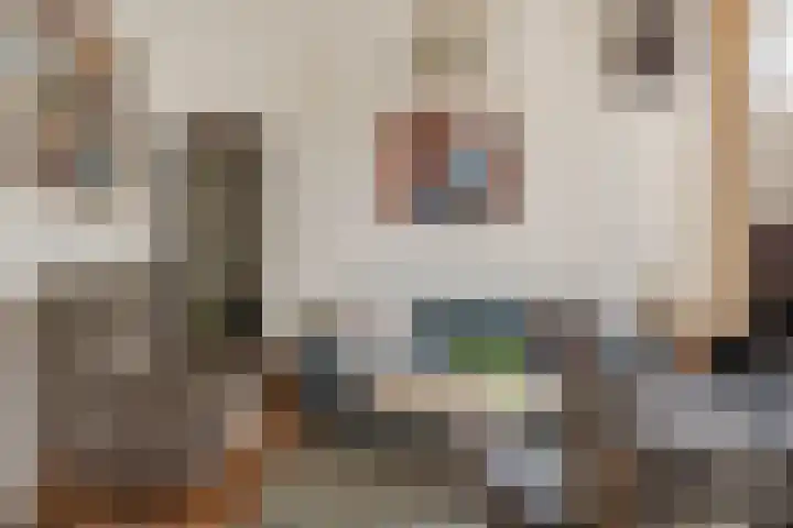 Kleine Kerkstraat 18 Edam thumbnail 17