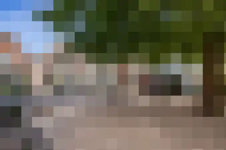 Kleine Kerkstraat 18 Edam thumbnail 37