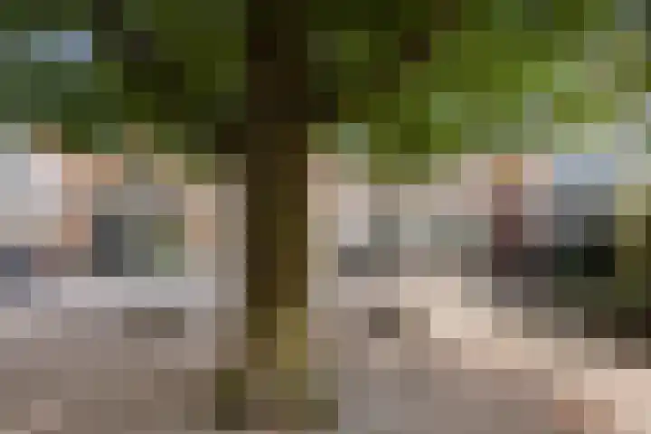 Kleine Kerkstraat 18 Edam thumbnail 38