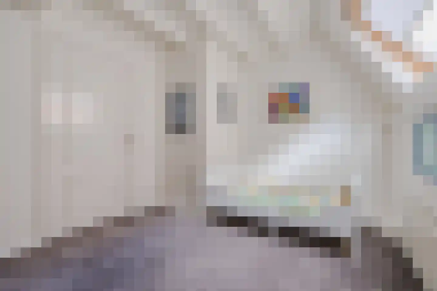 Kleine Kerkstraat 2 a Bergen op Zoom thumbnail 27