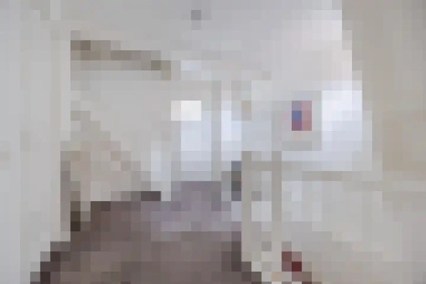 Kleine Kerkstraat 2 a Bergen op Zoom thumbnail 33