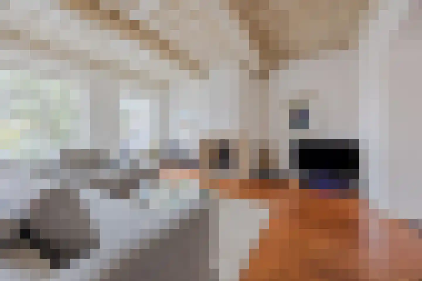 Kleine Kerkstraat 2 a Bergen op Zoom thumbnail 4