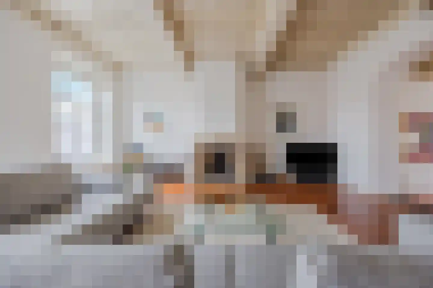 Kleine Kerkstraat 2 a Bergen op Zoom thumbnail 5