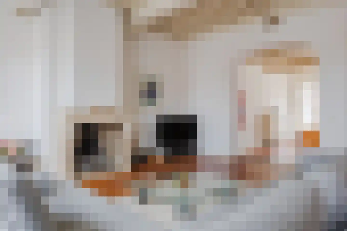 Kleine Kerkstraat 2 a Bergen op Zoom thumbnail 6