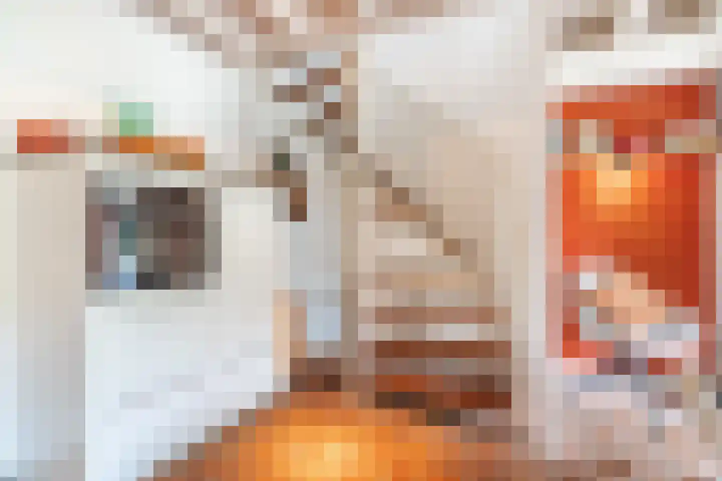 Kleine Kerkstraat 2 Culemborg thumbnail 13