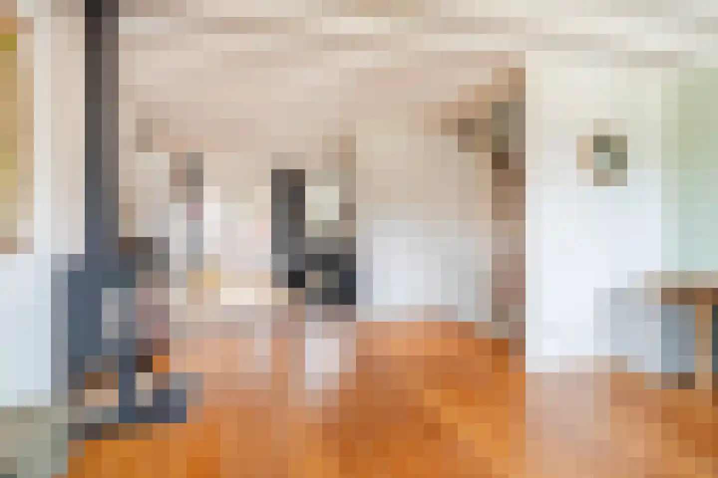Kleine Kerkstraat 2 Culemborg thumbnail 17