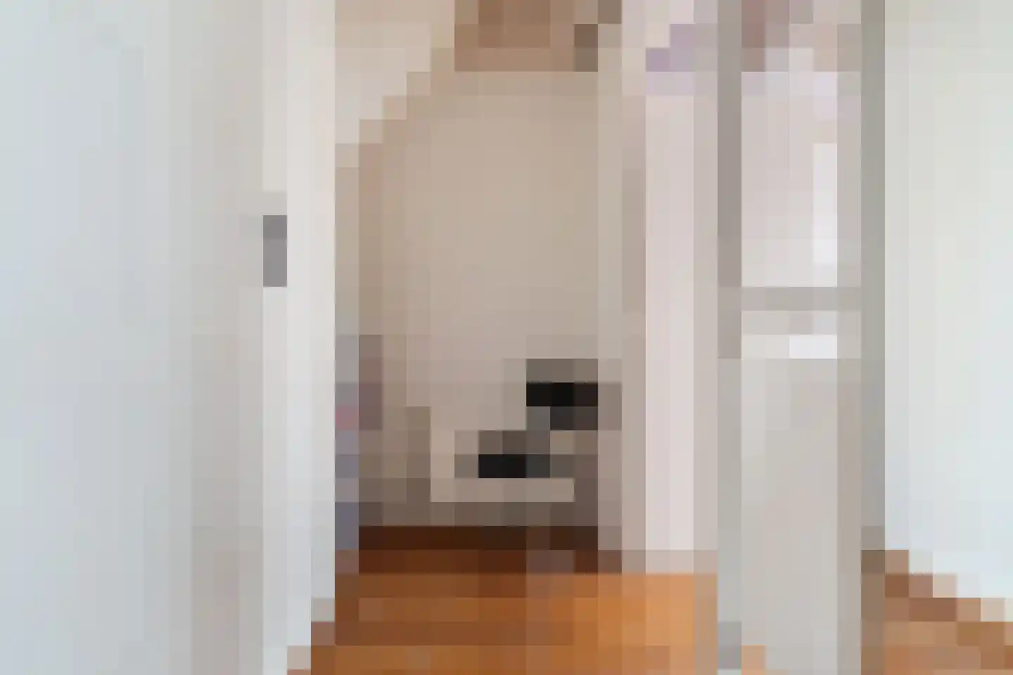 Kleine Kerkstraat 2 Culemborg thumbnail 23