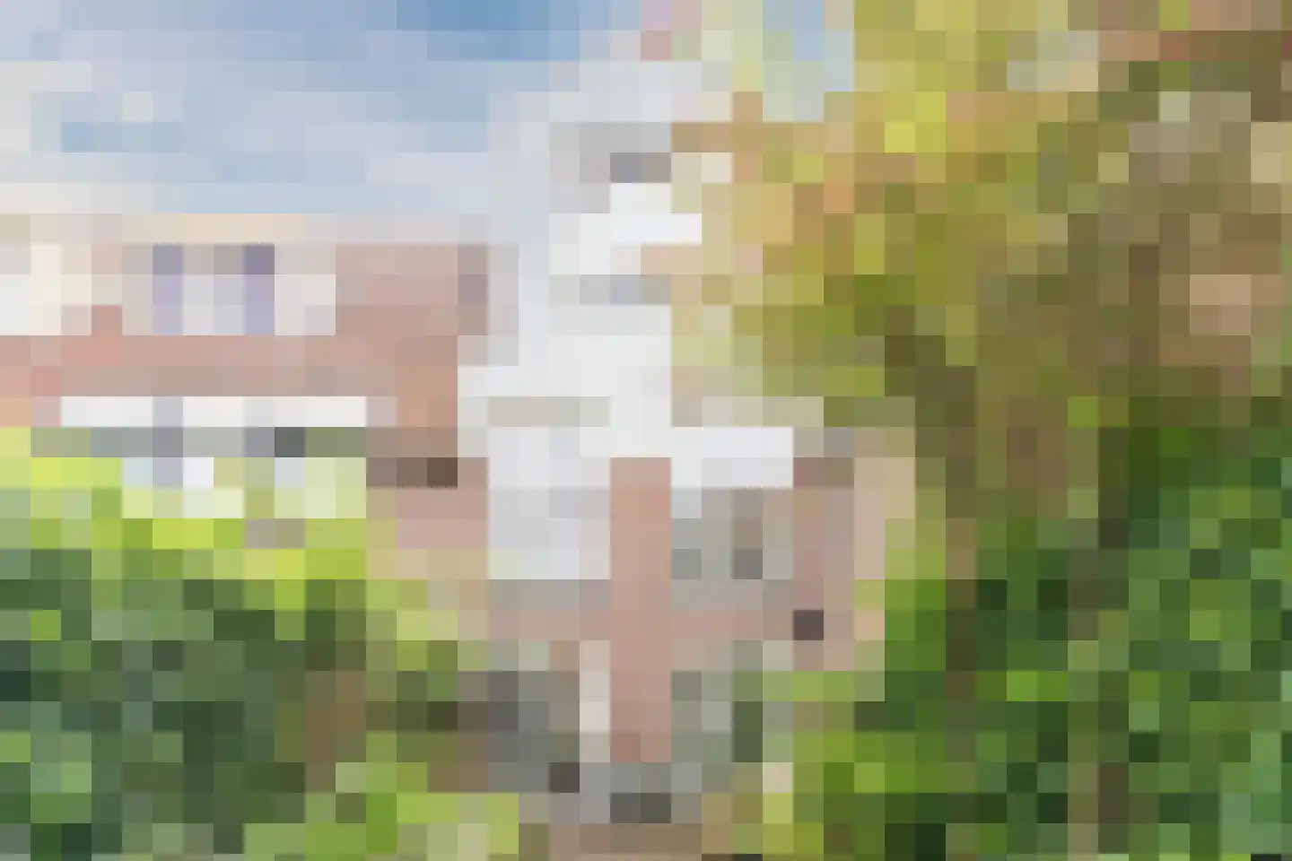 Kleine Kerkstraat 2 Culemborg thumbnail 30