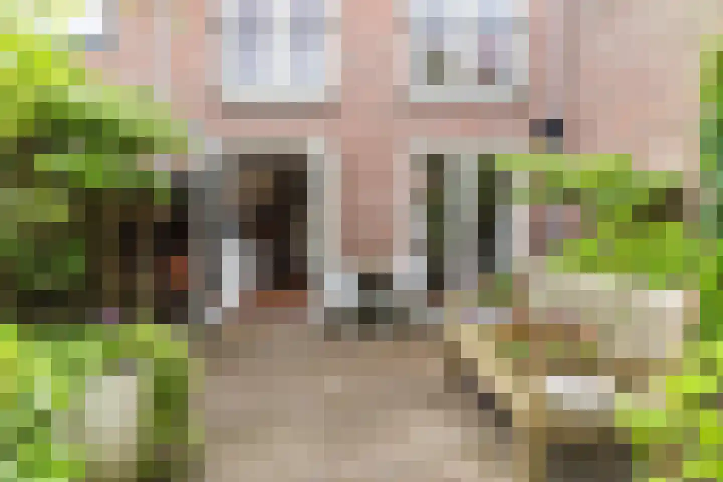 Kleine Kerkstraat 2 Culemborg thumbnail 31