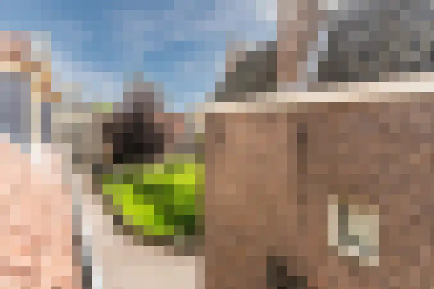 Kleine Kerkstraat 2 Culemborg thumbnail 32