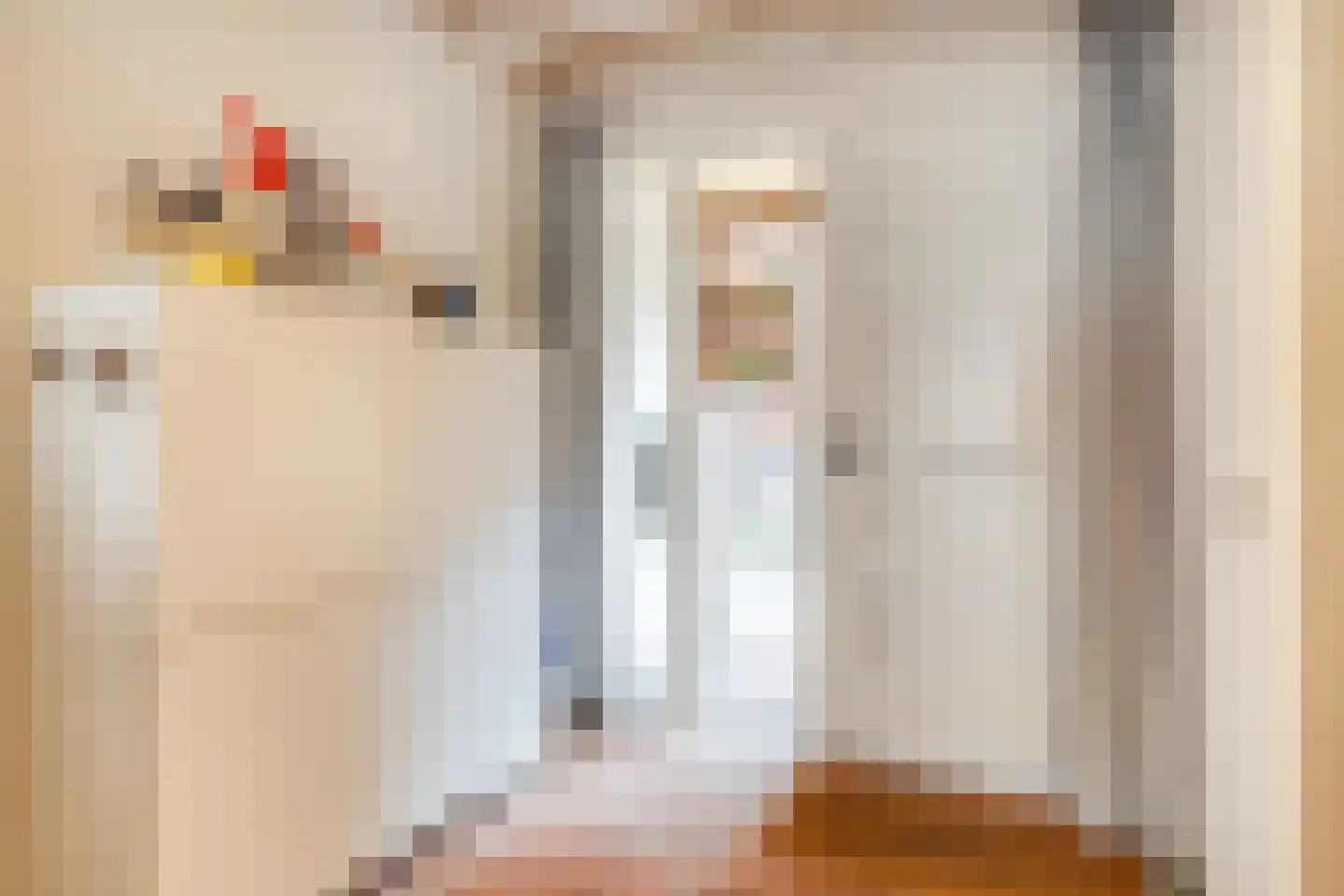 Kleine Kerkstraat 2 Culemborg thumbnail 6