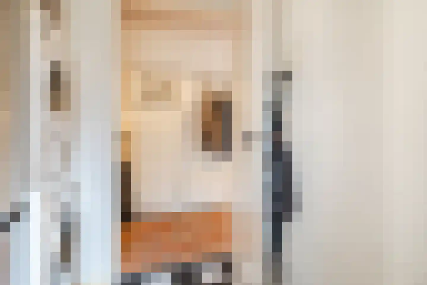 Kleine Kerkstraat 2 Culemborg thumbnail 8