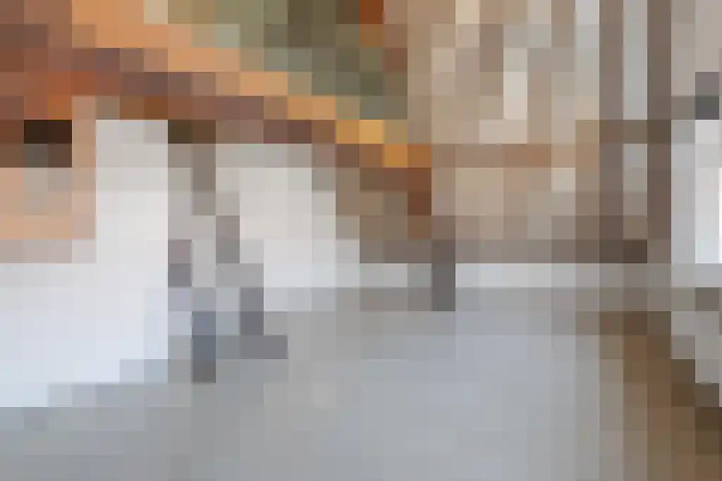 Kleine Kerkstraat 3 Culemborg thumbnail 13