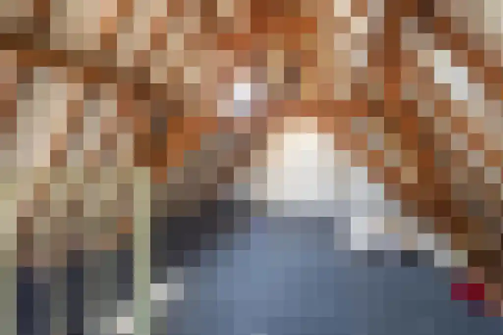 Kleine Kerkstraat 3 Culemborg thumbnail 15