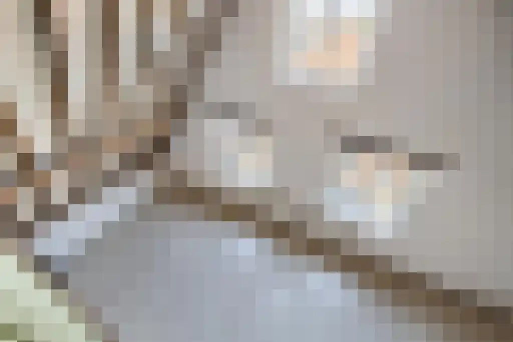 Kleine Kerkstraat 3 Culemborg thumbnail 16