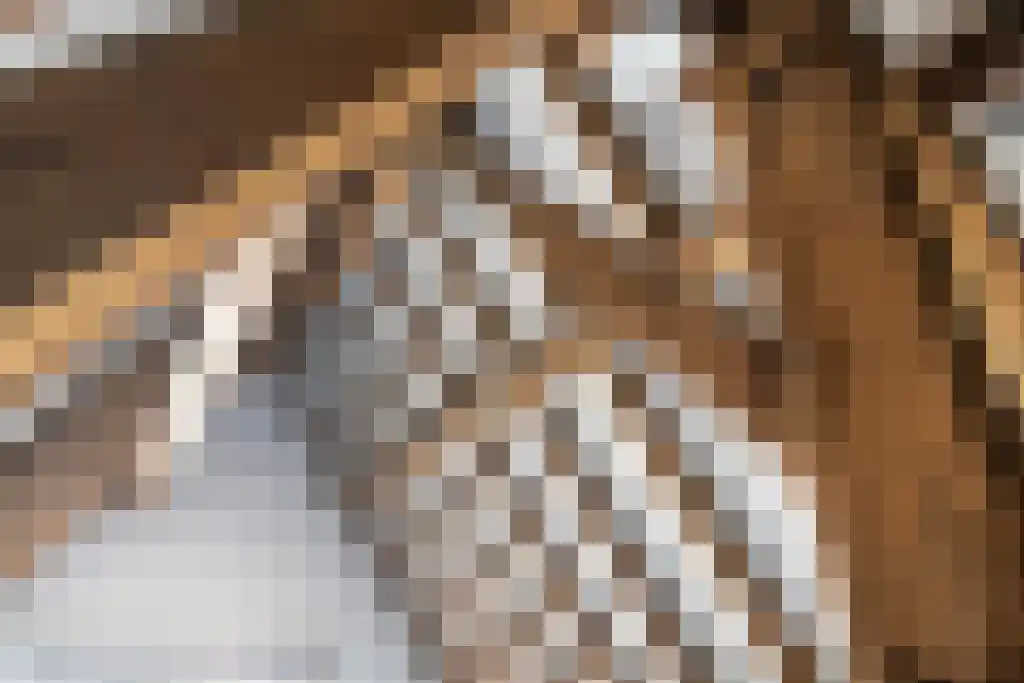 Kleine Kerkstraat 3 Culemborg thumbnail 17