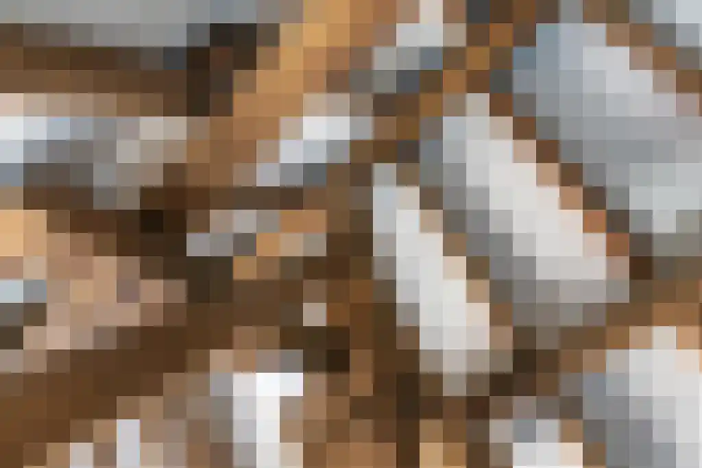 Kleine Kerkstraat 3 Culemborg thumbnail 18