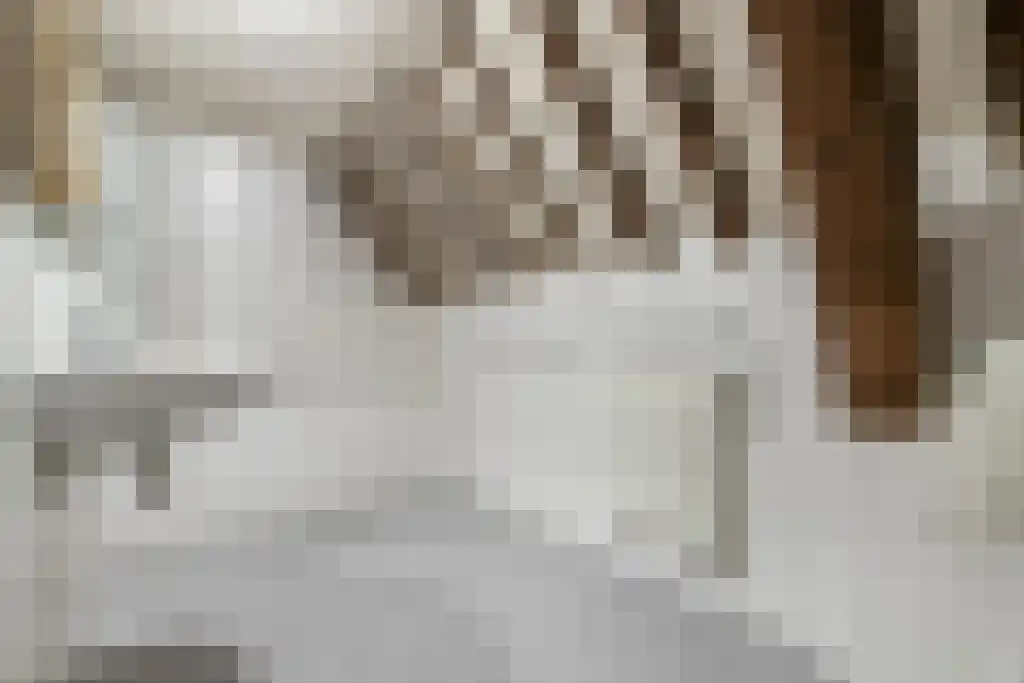 Kleine Kerkstraat 3 Culemborg thumbnail 19