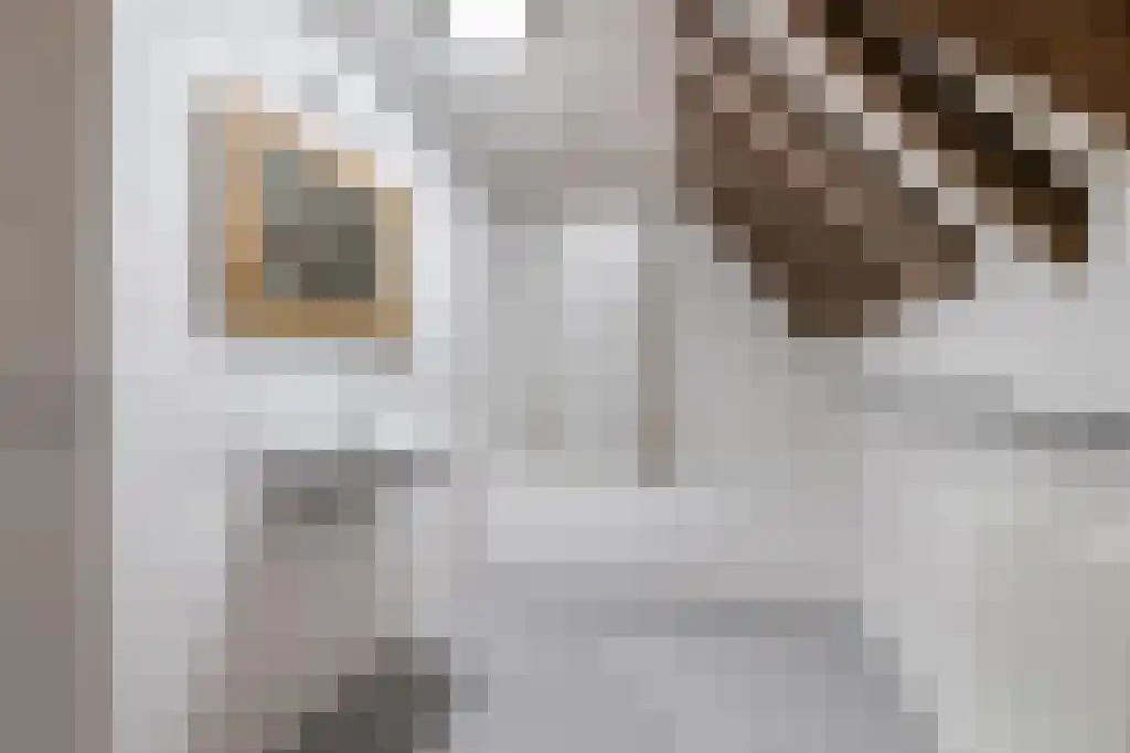 Kleine Kerkstraat 3 Culemborg thumbnail 20