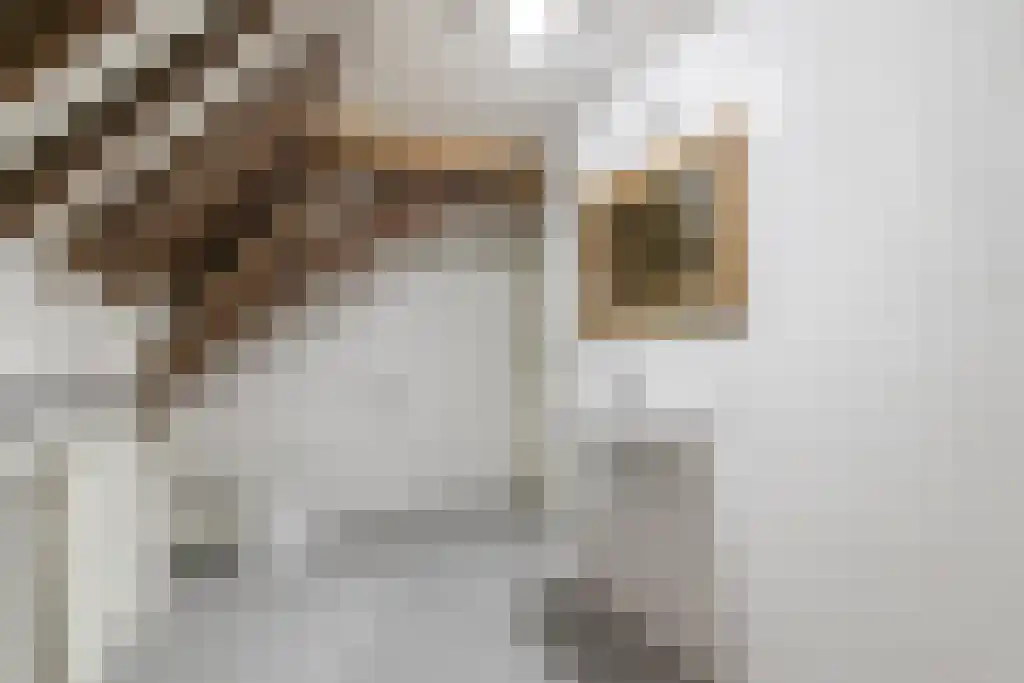 Kleine Kerkstraat 3 Culemborg thumbnail 21