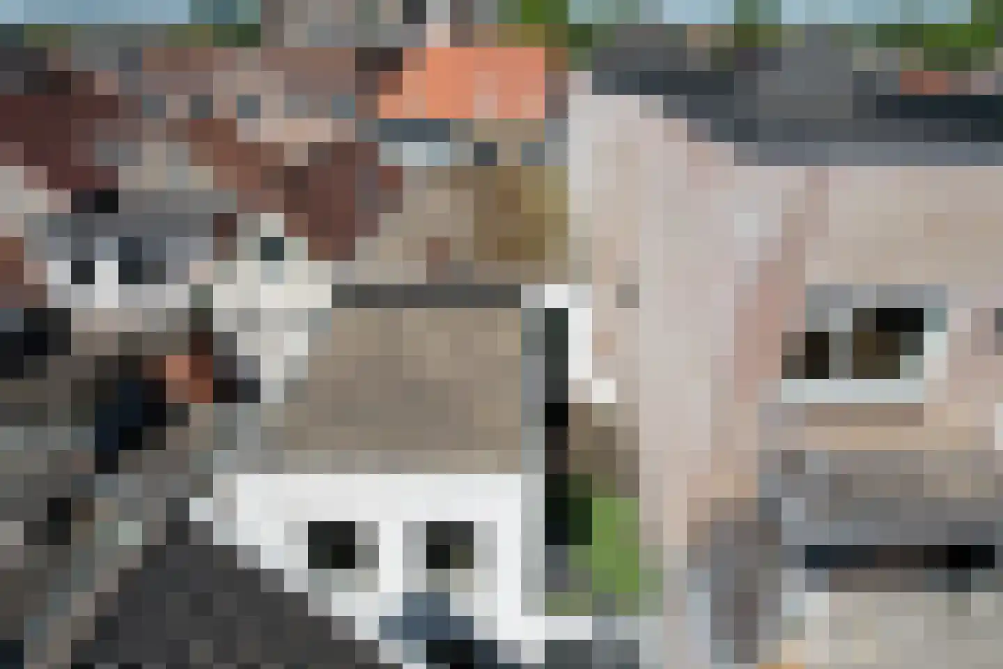 Kleine Kerkstraat 7 a Steenbergen thumbnail 14