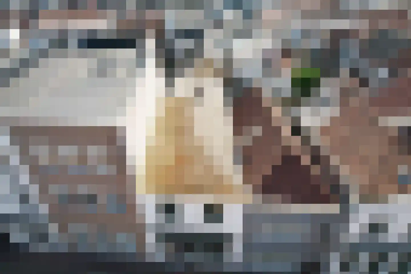 Kleine Kerkstraat 7 a Steenbergen thumbnail 17