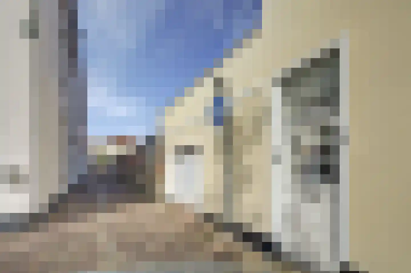 Kleine Kerkstraat 7 Bergen op Zoom thumbnail 9
