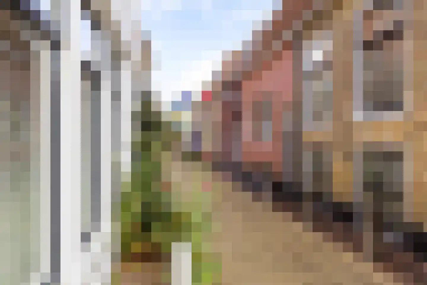 Kleine Kerkstraat 7 Harlingen thumbnail 10