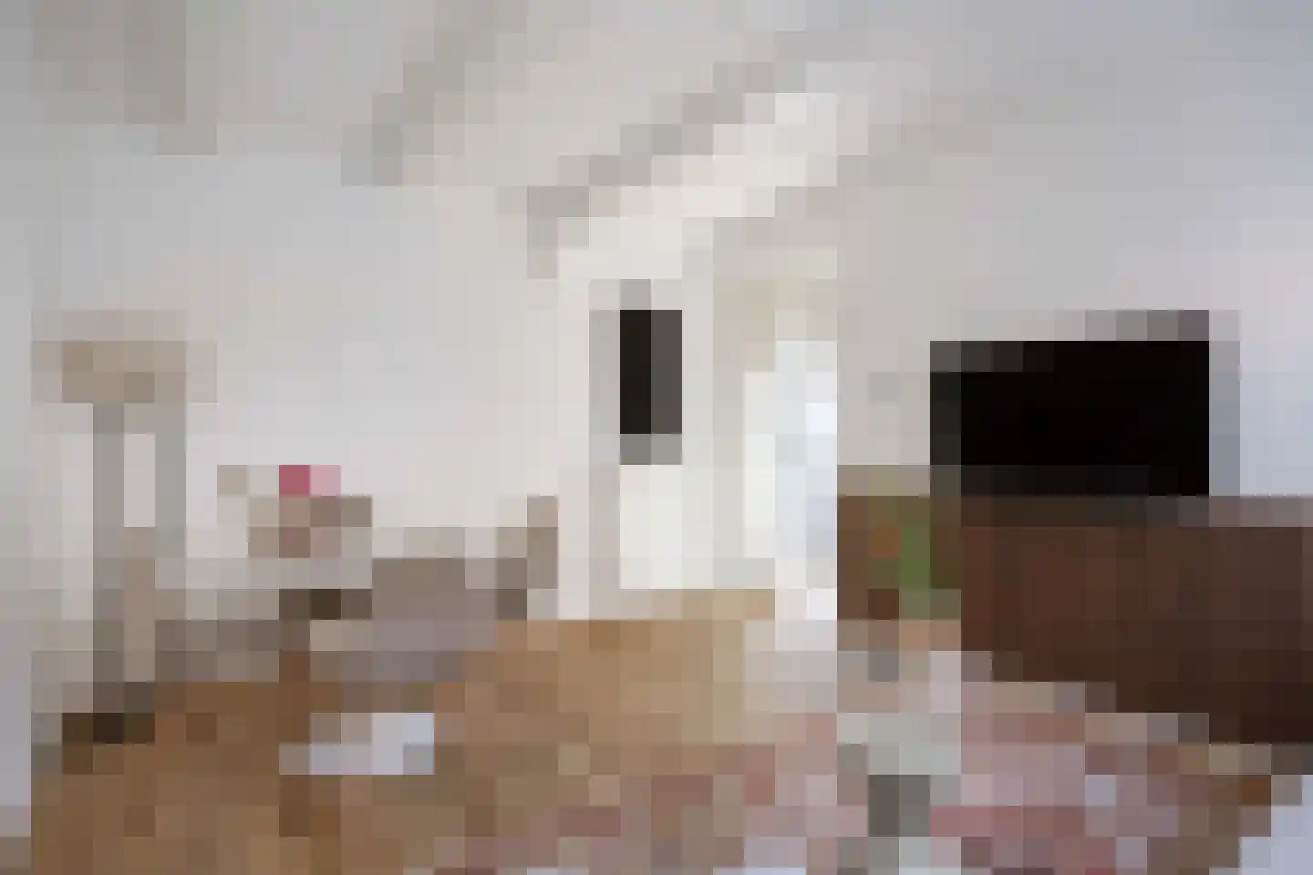 Kleine Kerkstraat 7 Harlingen thumbnail 26