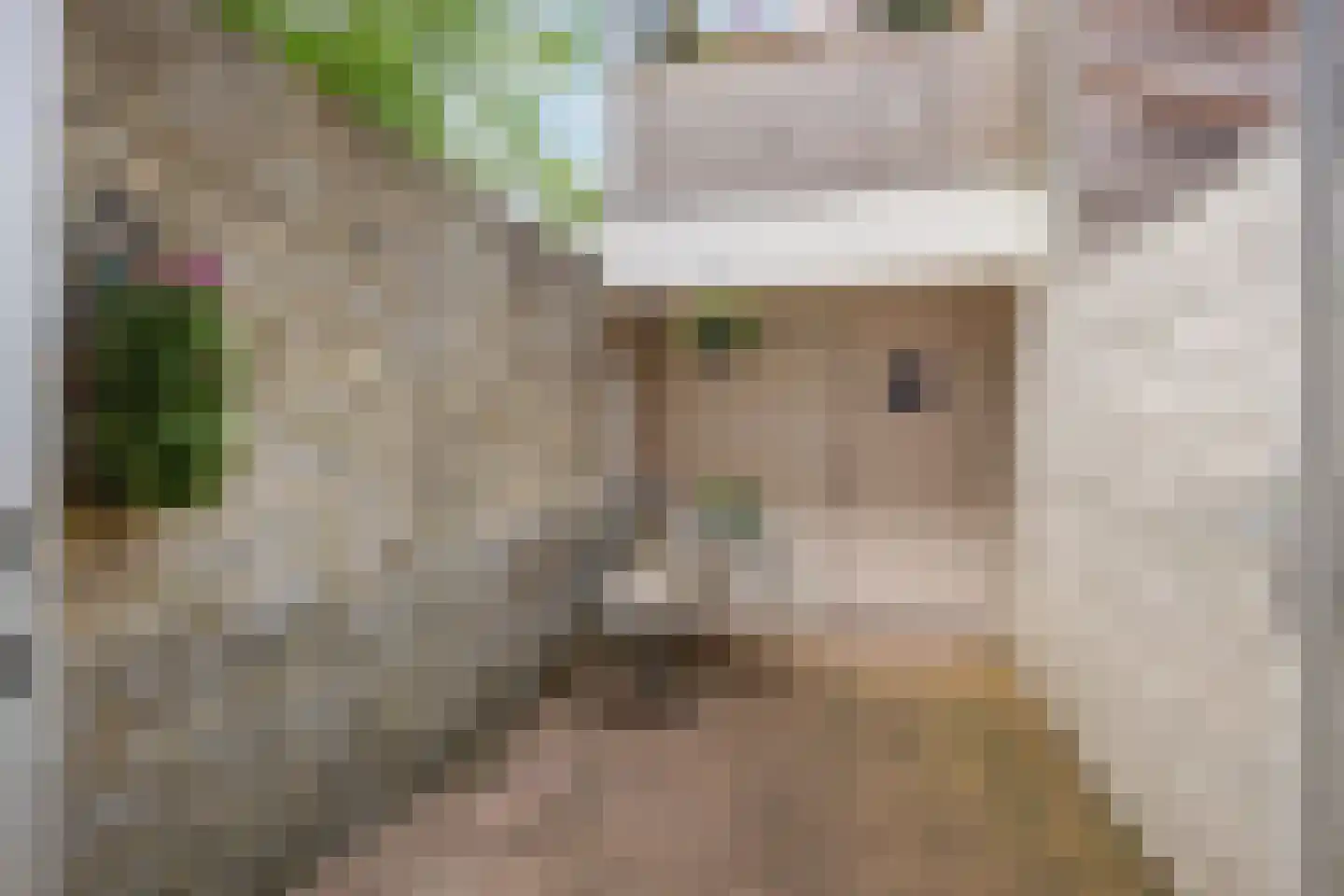 Kleine Kerkstraat 7 Harlingen thumbnail 32