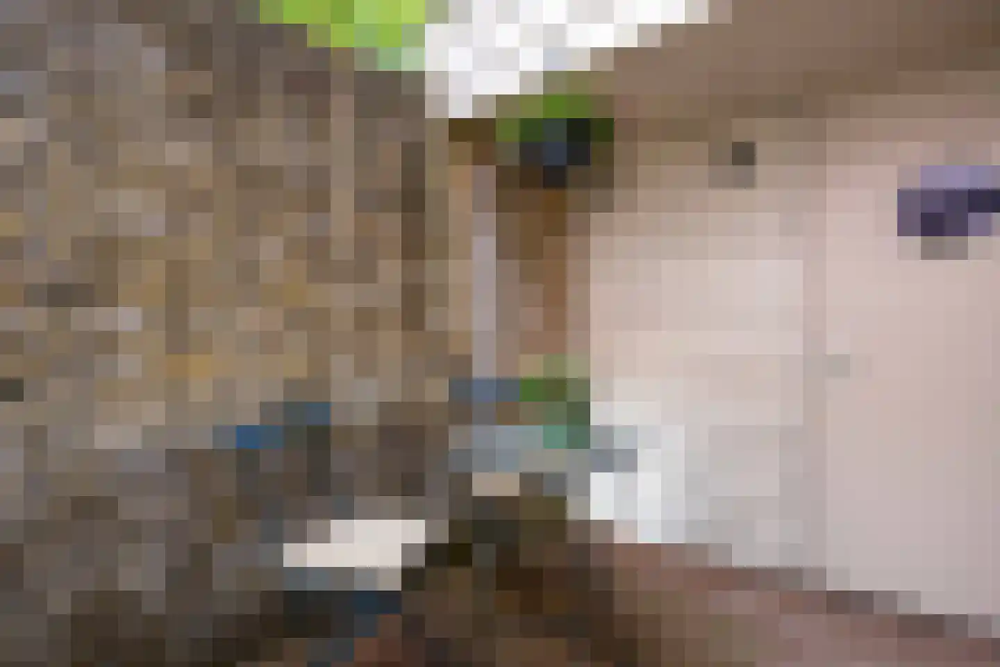 Kleine Kerkstraat 7 Harlingen thumbnail 33