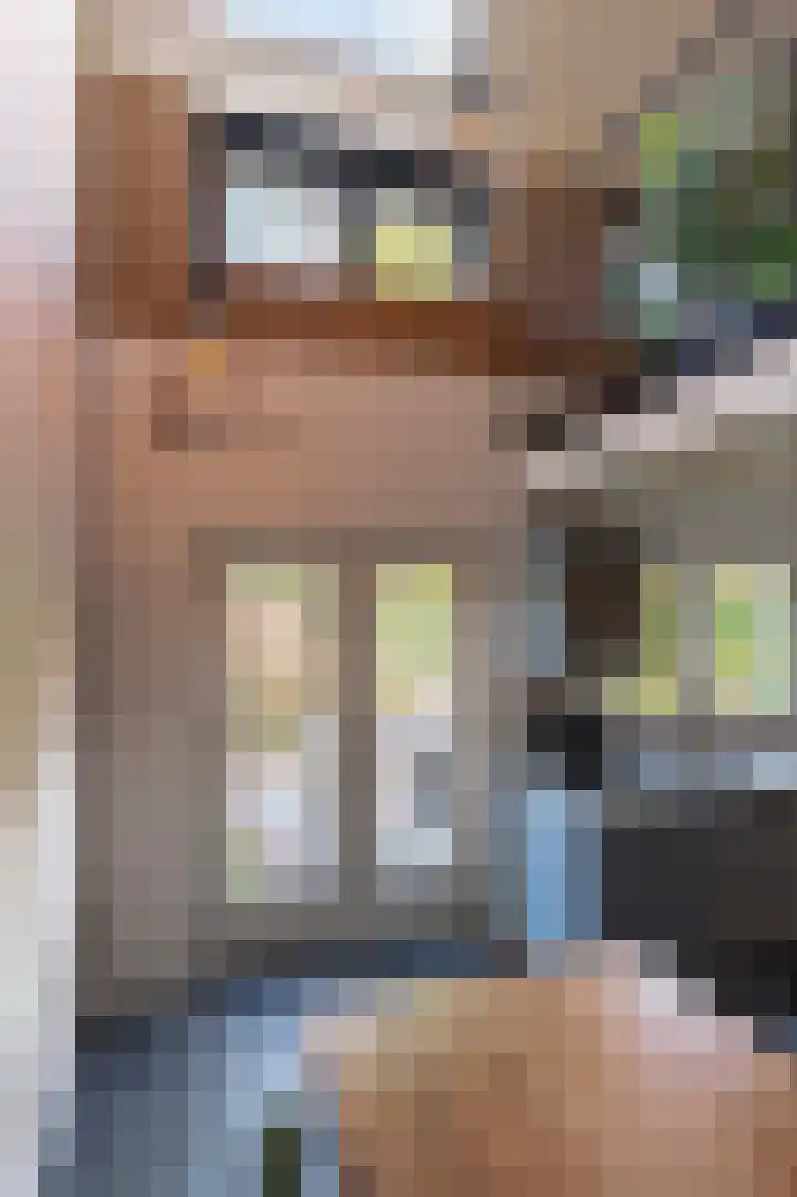 Kleine Kerkstraat 8 Culemborg thumbnail 13