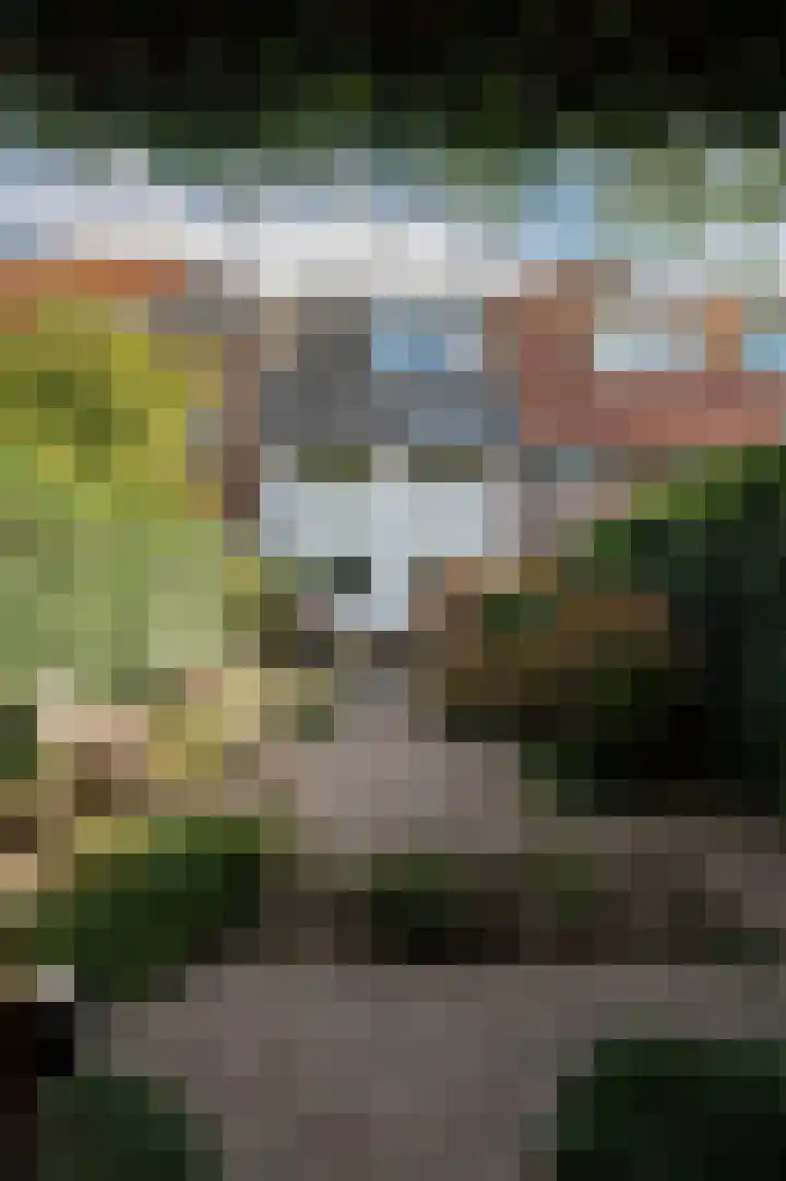 Kleine Kerkstraat 8 Culemborg thumbnail 19