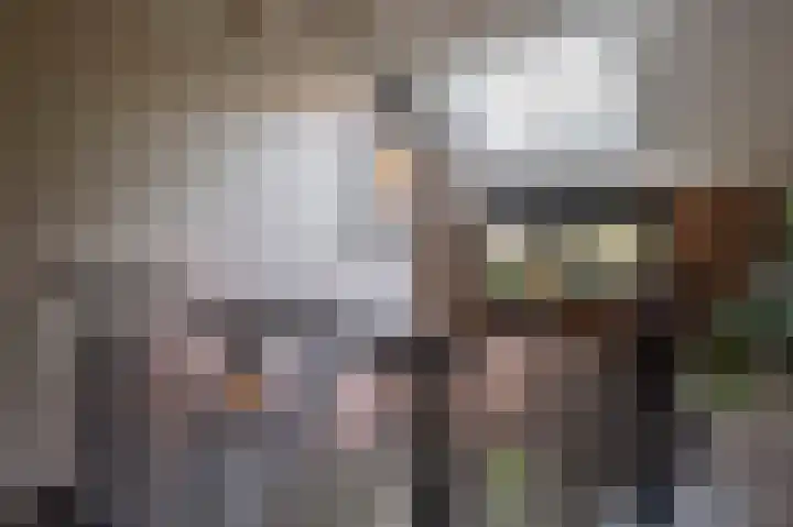 Kleine Kerkstraat 8 Culemborg thumbnail 21