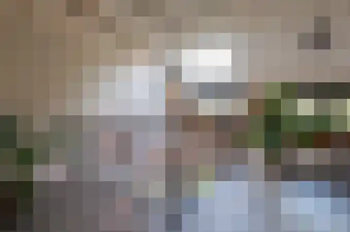 Kleine Kerkstraat 8 Culemborg thumbnail 27