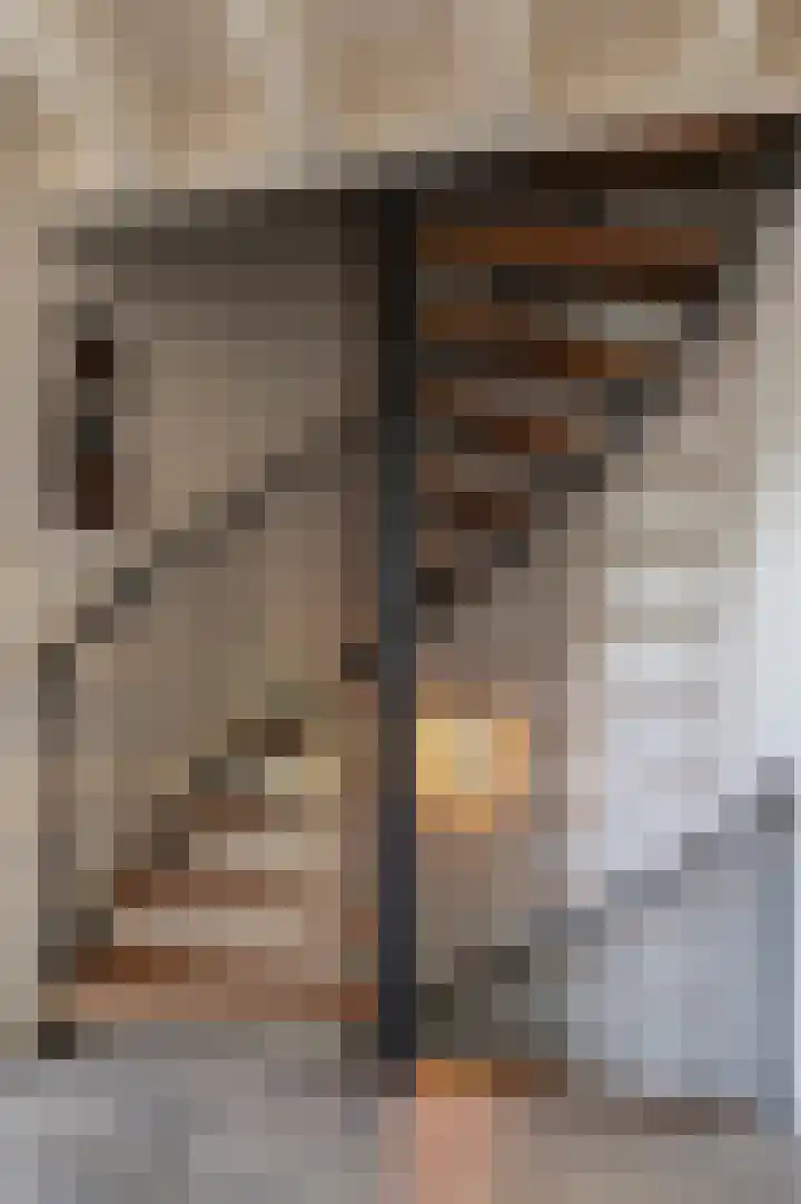 Kleine Kerkstraat 8 Culemborg thumbnail 28