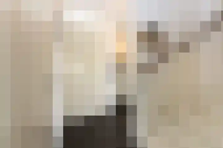Kleine Klaver 20 Overasselt thumbnail 10