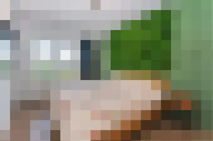Kleine Klaver 20 Overasselt thumbnail 13