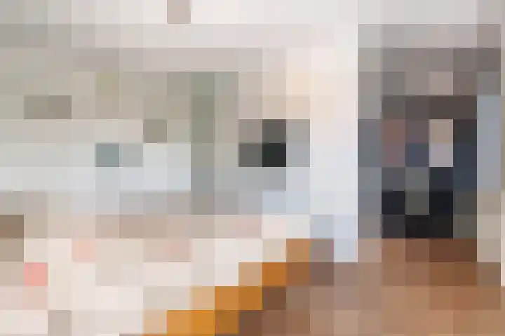 Kleine Klaver 20 Overasselt thumbnail 14