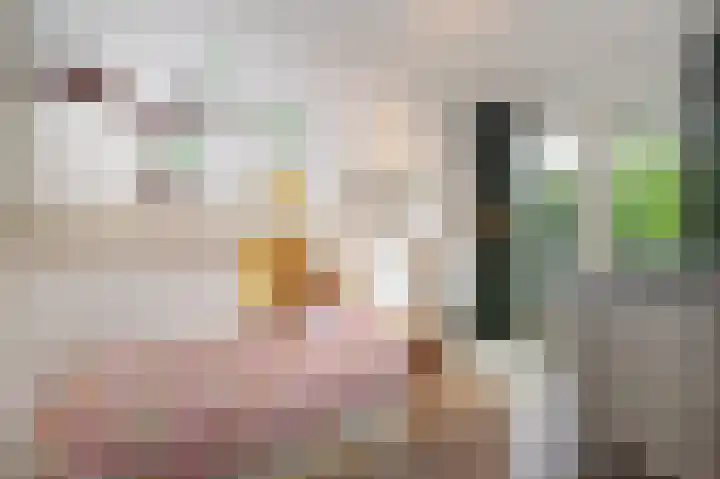 Kleine Klaver 20 Overasselt thumbnail 16