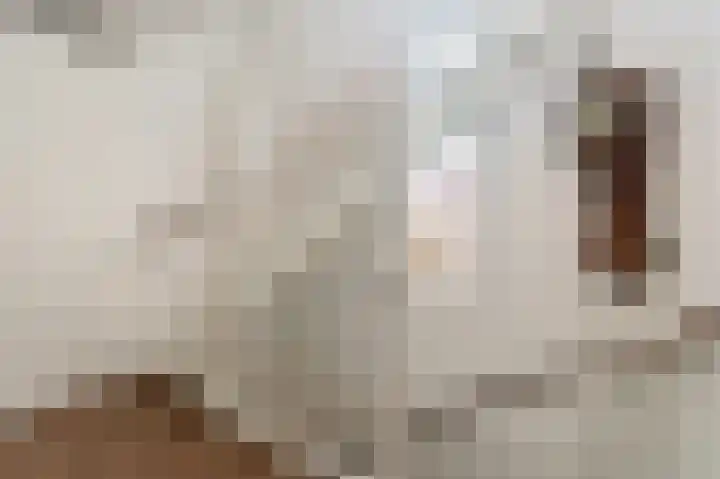 Kleine Klaver 20 Overasselt thumbnail 19