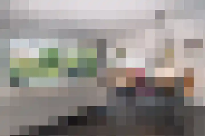 Kleine Klaver 20 Overasselt foto 2